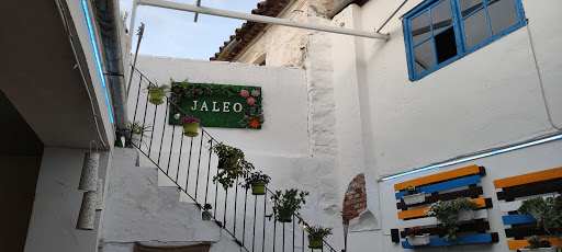 Jaleo Café & Copas - Bar en Pozoblanco, Córdoba